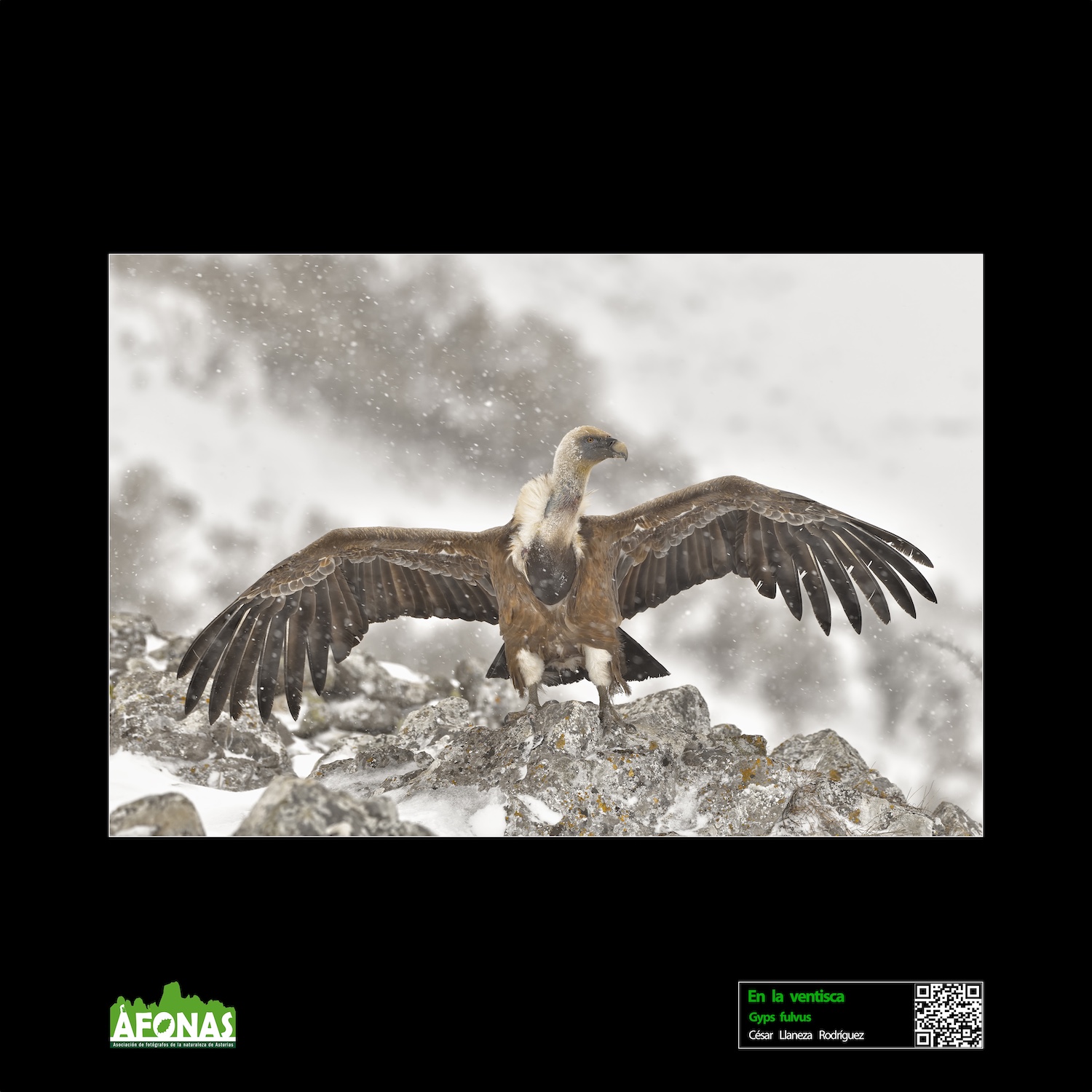 En la ventisca - César Llaneza Rodríguez