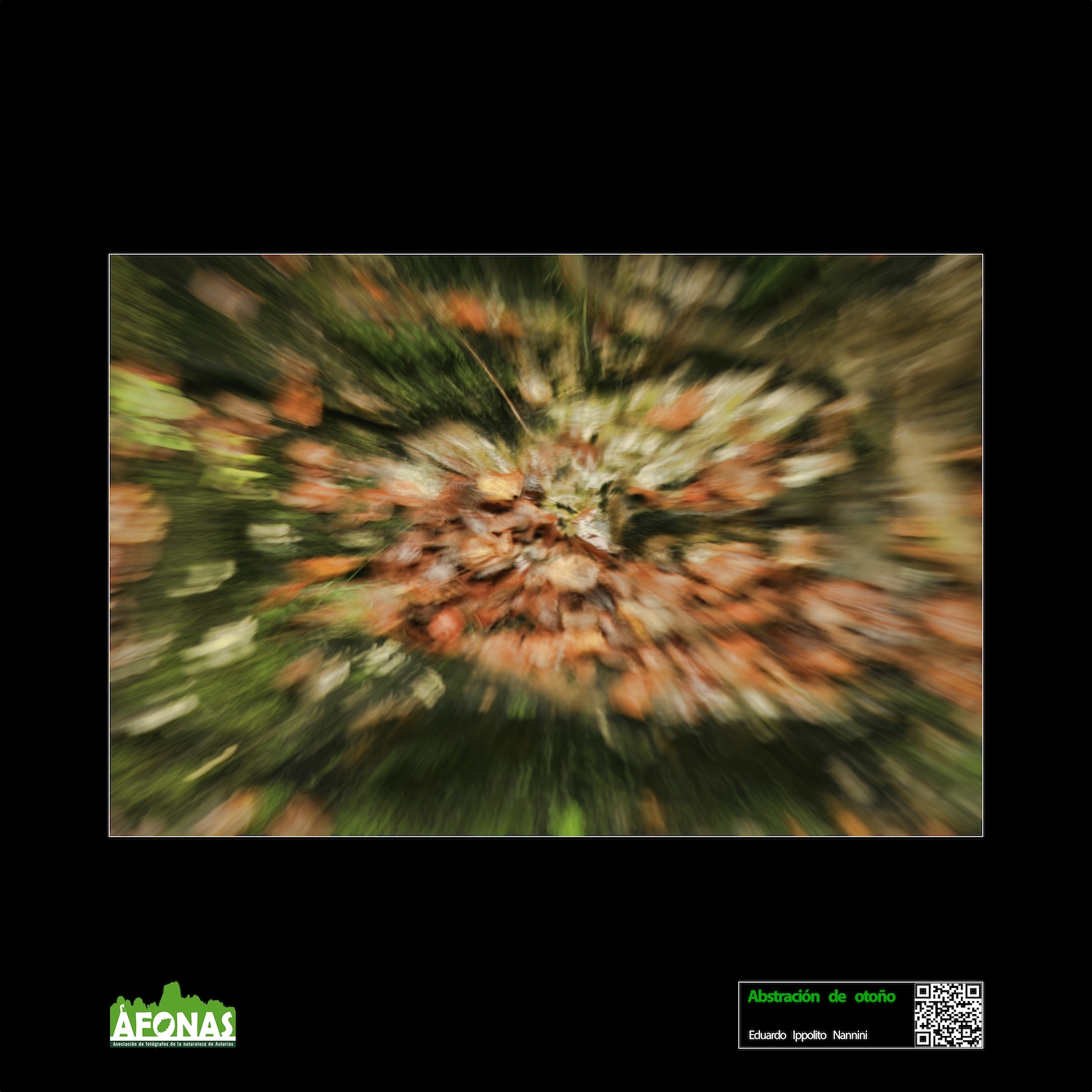 Abstracción de otoño - Eduardo Ippolito Nannini