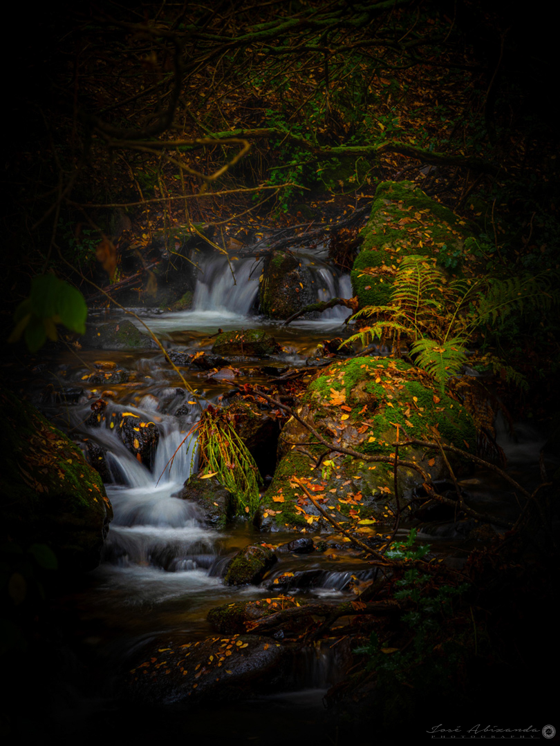 La mitad de la belleza depende del paisaje