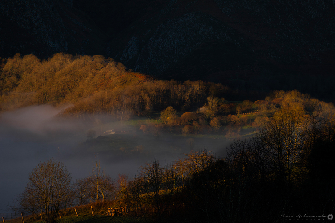 Nieblas en el amanecer
