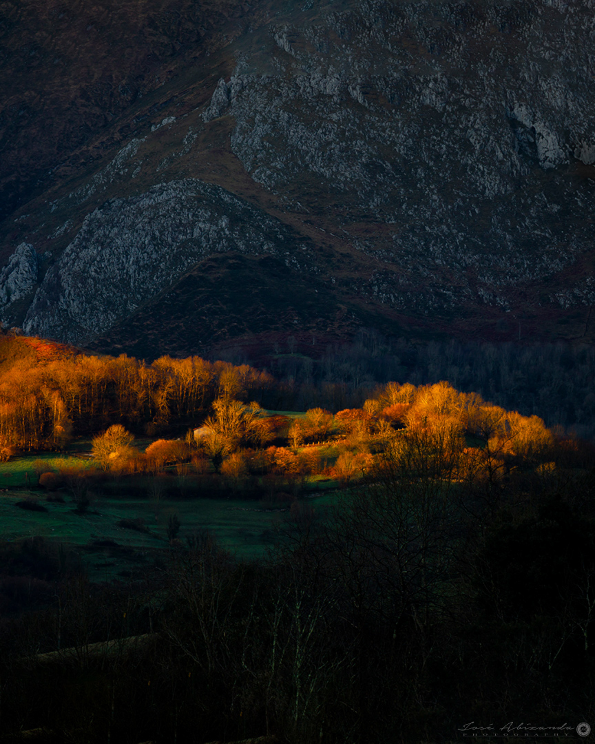 Regalazo de amanecer 