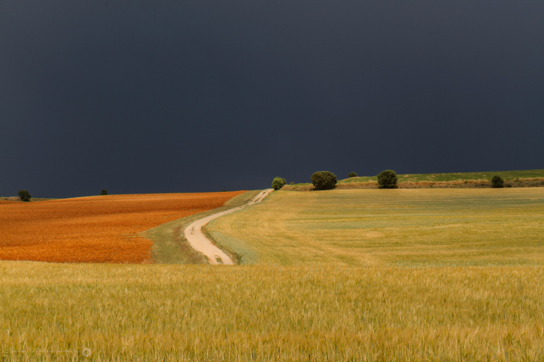 Colores de tormenta en el campo