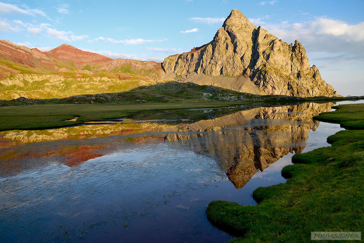 pirivisiones; Alto Gallego; Angiospermas; Aragón; Barranco de Culivillas; Collado Cuello de Anayet; Color; Cormofitas; Cuenca del Río Gállego; España; Espermatófitos; Formato horizontal; Huesca; 