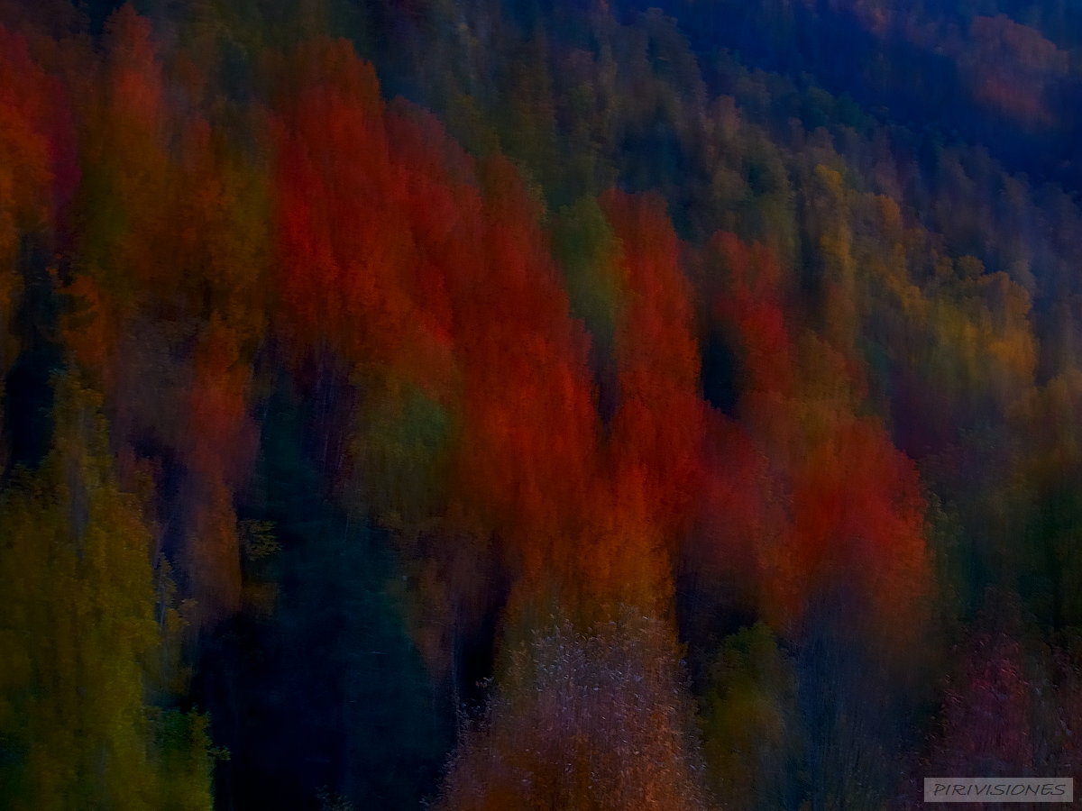 pirivisiones; Alto Gallego; Aragón; Bosque mixto Haya - Abedul; Color; Cuenca del Río Gállego; España; Formato horizontal; Hoz de Jaca; Huesca; Montaña; Otoño; Pirineos; Pyrenées; Senderismo; S
