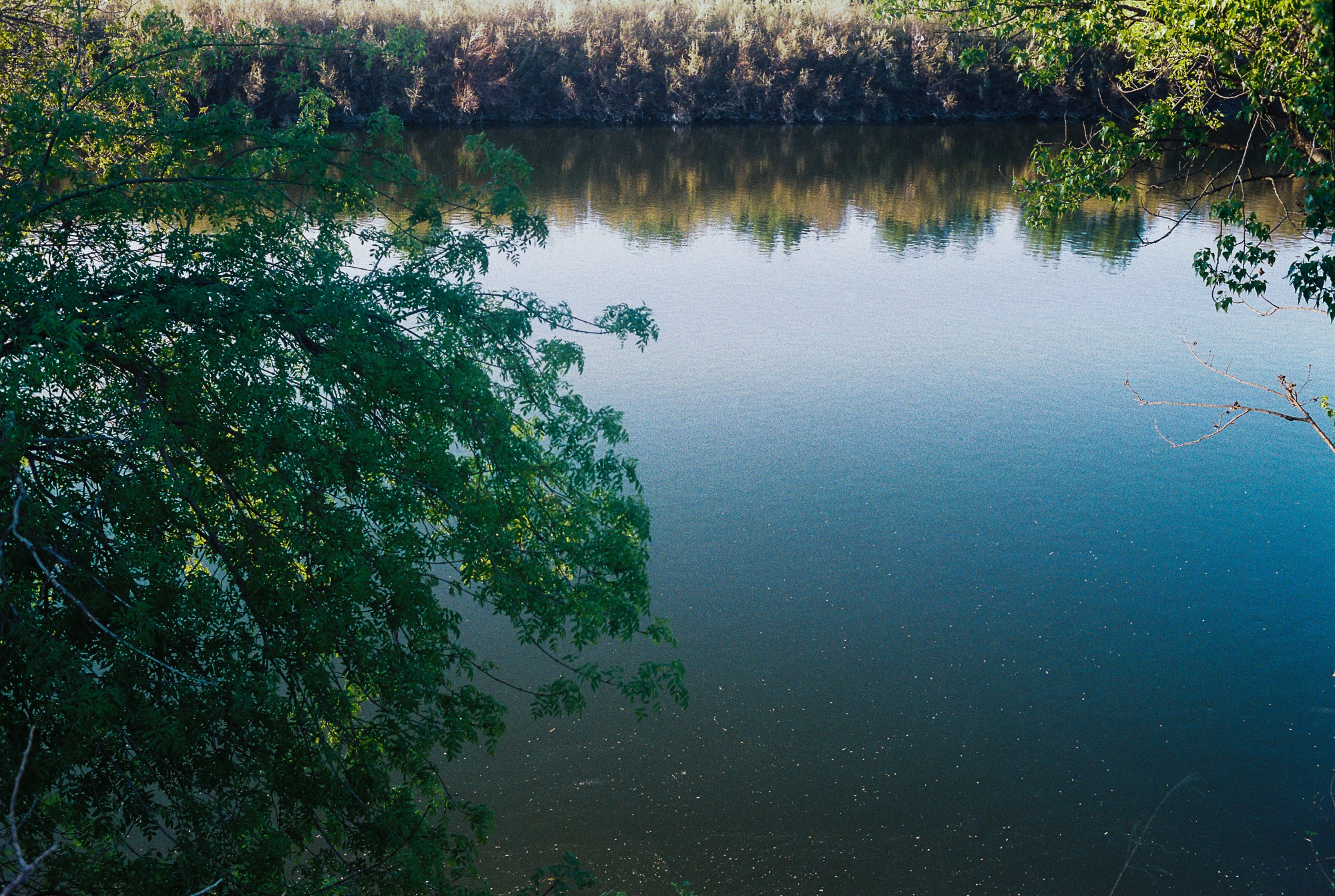 El río Ebro en la Cartuja Baja