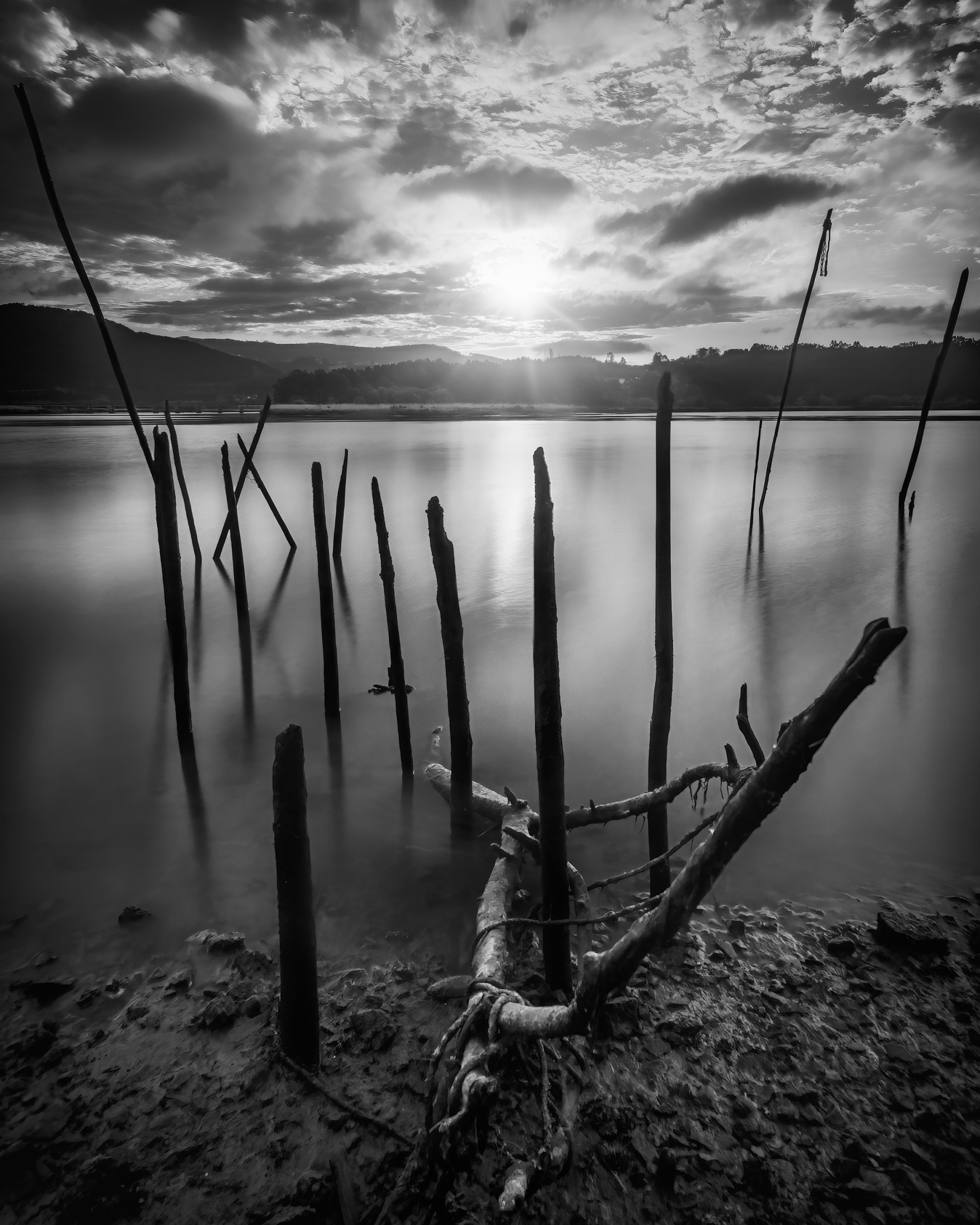 Nalón B&W