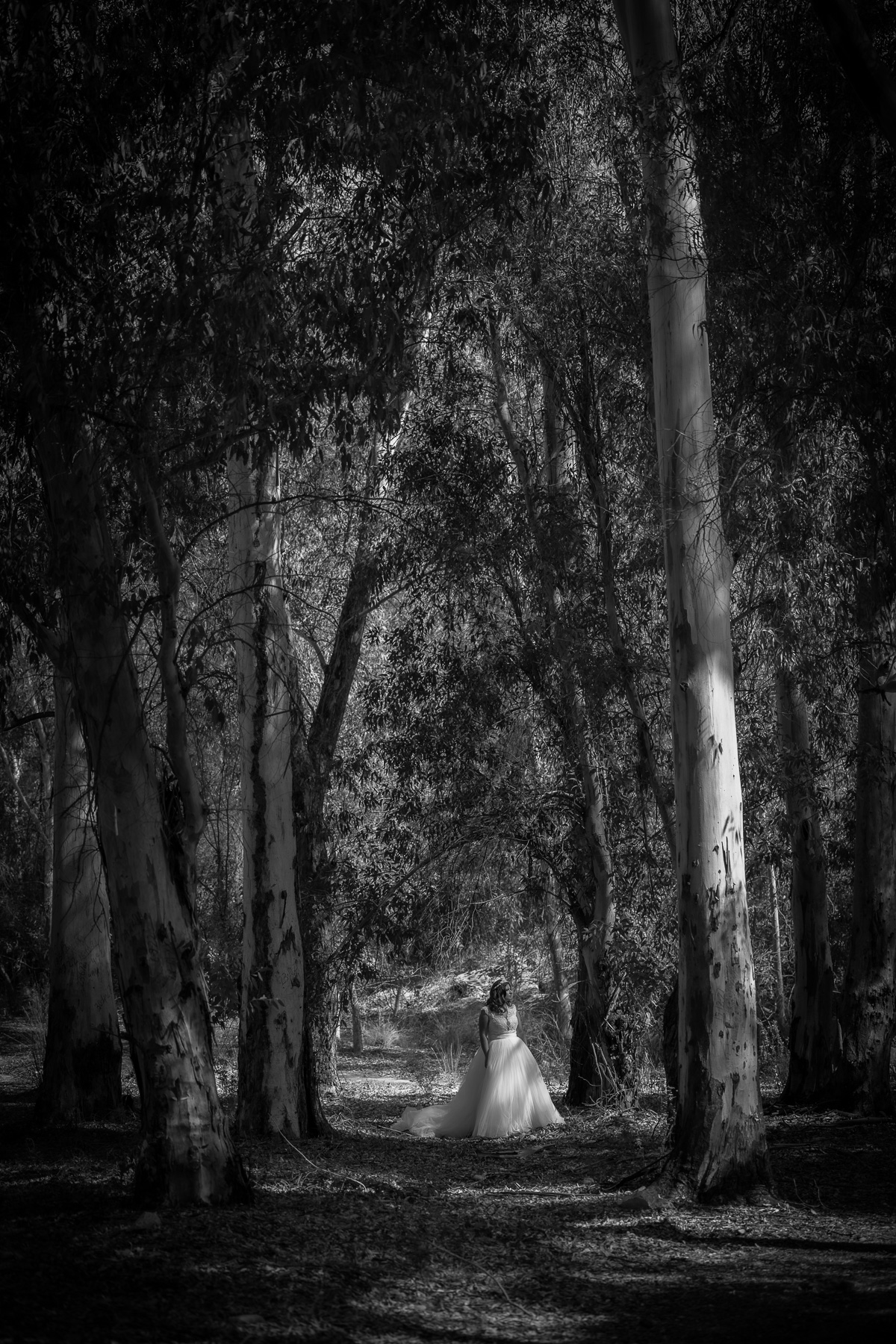 Sesión Post Boda en la naturaleza de Arcos. Lidia y Alejandro. Foto Alba 06-10-2022