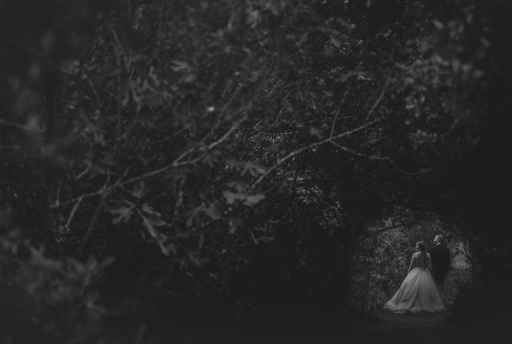 Sesión de Post Boda en El Bosque, Cádiz. Sandra y Nivaldo. Foto Alba 13 de octubre de 2022