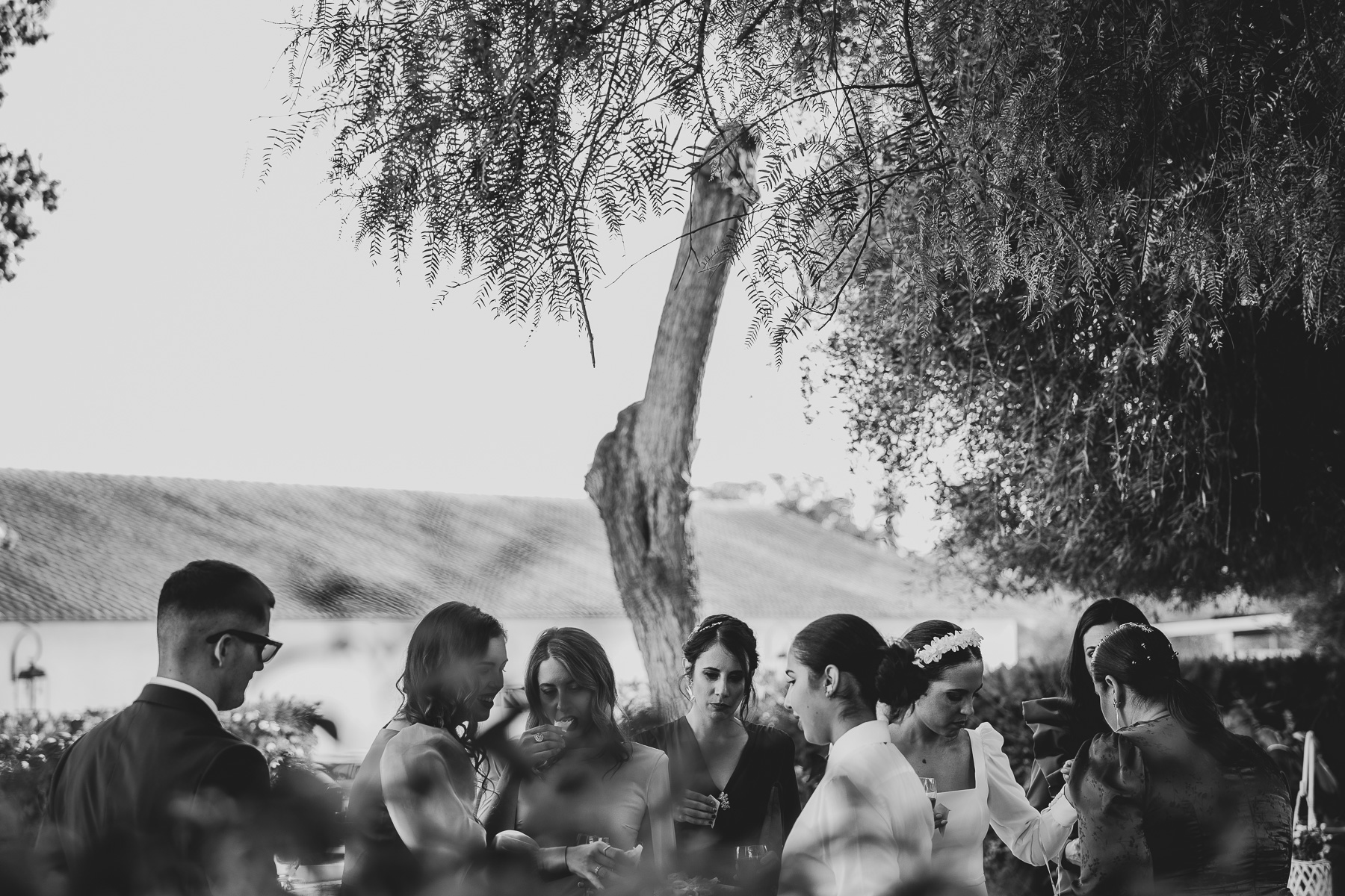 Preciosa Boda de Otoño en Villaverde del Río: El Evento de Rosario y Jesús