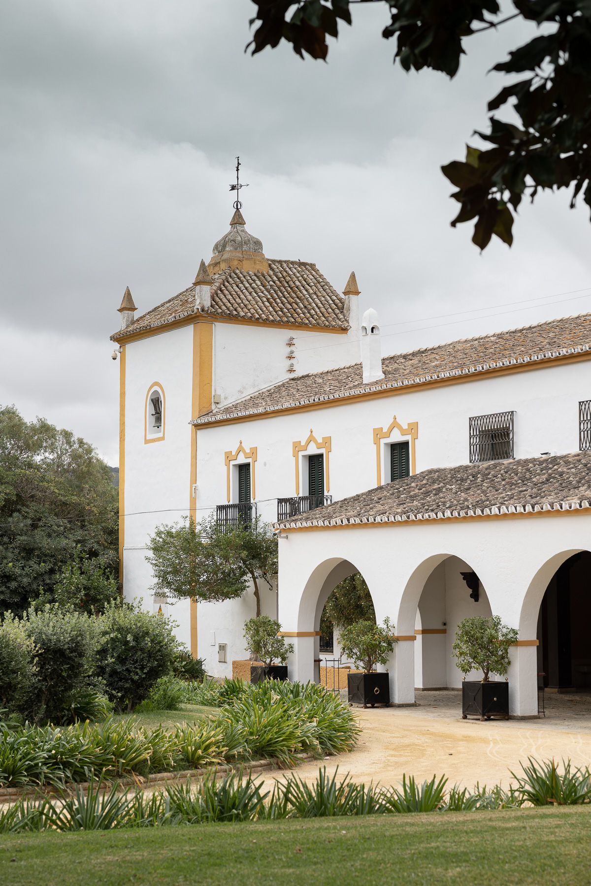 Hacienda El Rosalejo: Ubrique Cádiz. Foto Alba 03/11/2022