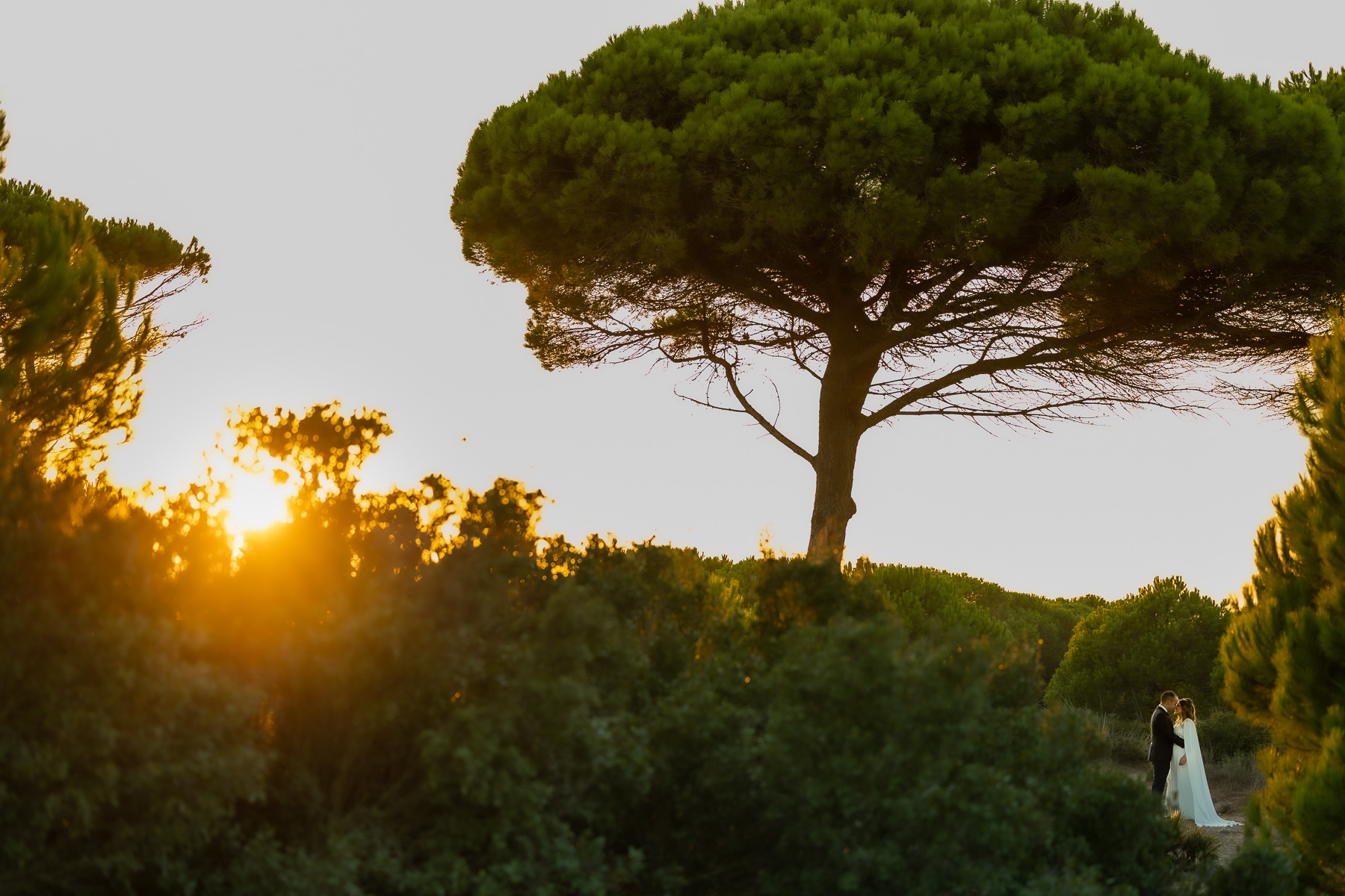 Postboda en las Playas de Conil: Descubriendo Las Calas de Roche