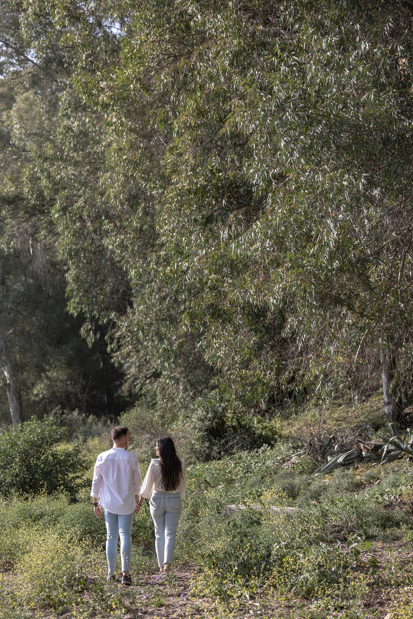 Novios caminado bajo un árbol centenario, sesión preboda en la naturaleza