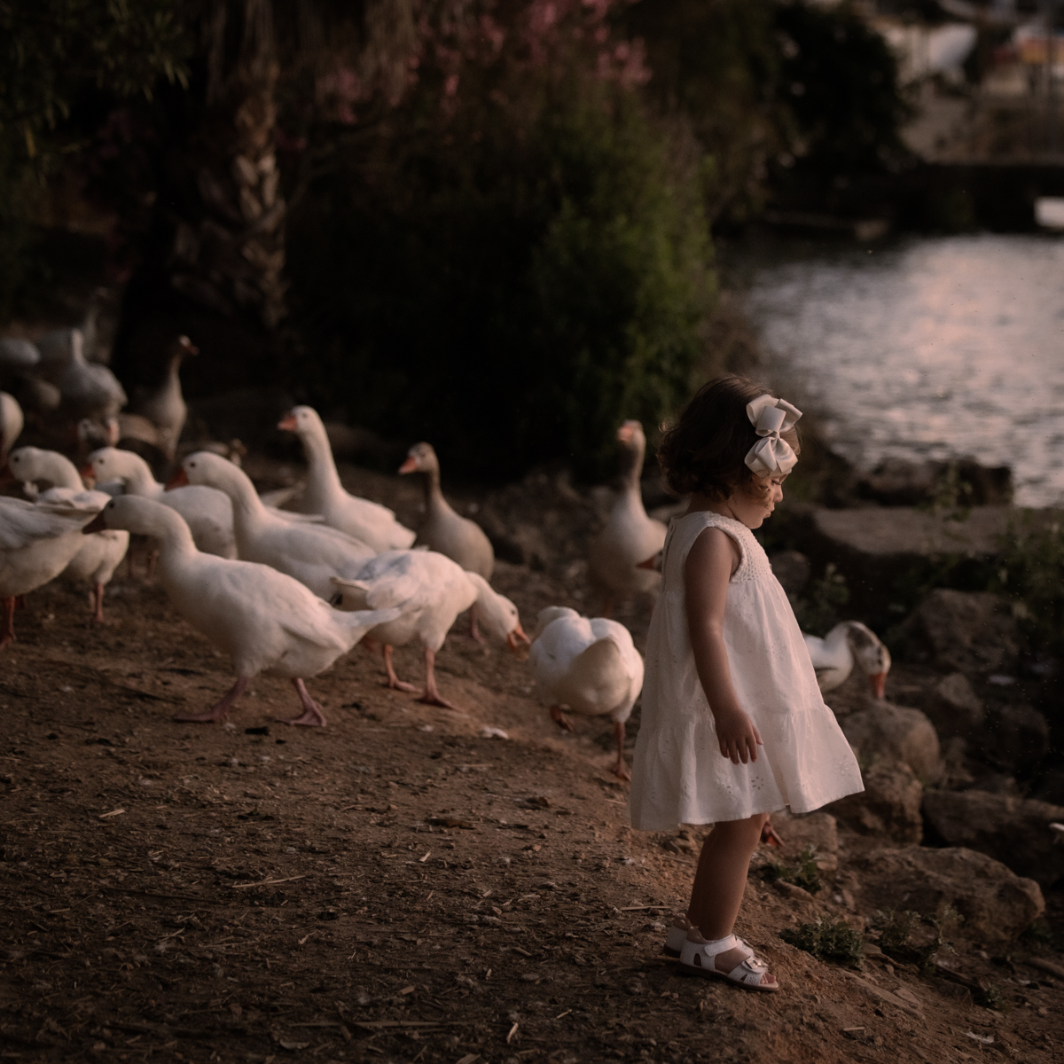 Niña pequeña vestida de blanco juega con unos patos junto al lago de Arcos
