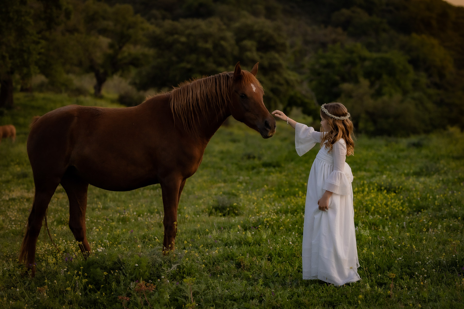 Sesión de fotos de comunión en el Bosque, Cádiz