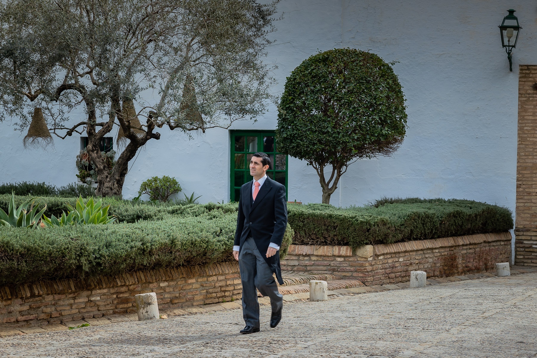 Hermano de Ara caminado en la Hacienda Torre de Arcas, Bollullo de la Mitación, Sevilla