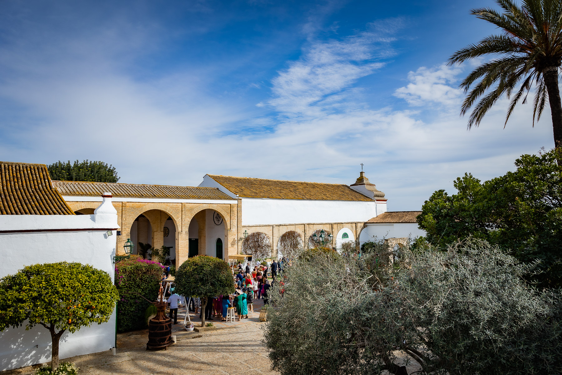 Celebración de la boda de Ara y Manuel en Hacienda Torre de Arcas, Bollullo de la Mitación, Sevilla