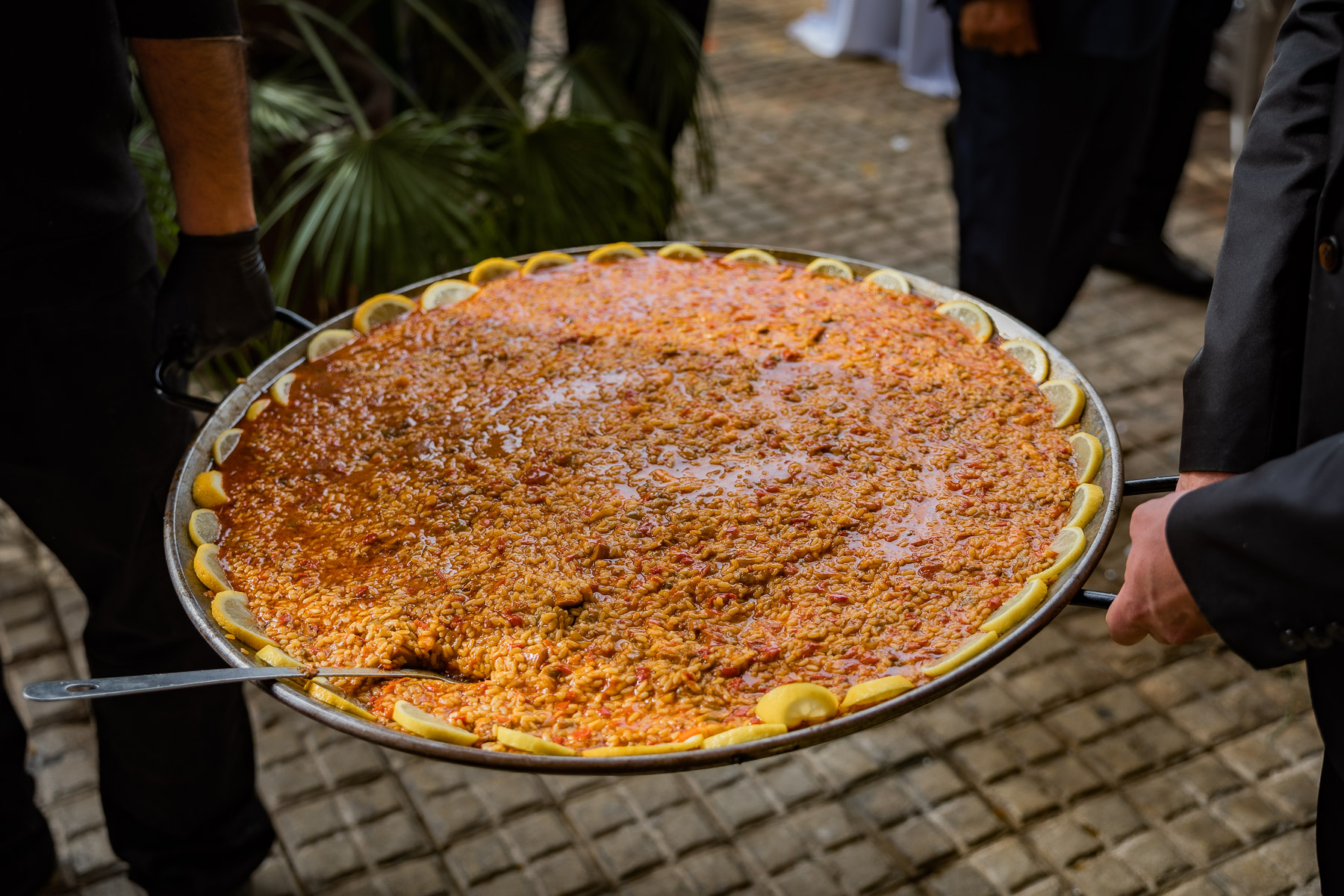 Celebración de la boda de Ara y Manuel en Hacienda Torre de Arcas, Bollullo de la Mitación, Sevilla