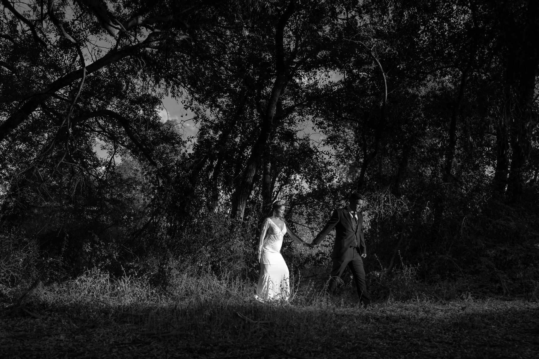 Sesión de Post Boda en el campo a Alba y Eusebio. Arcos de la Frontera, Cádiz