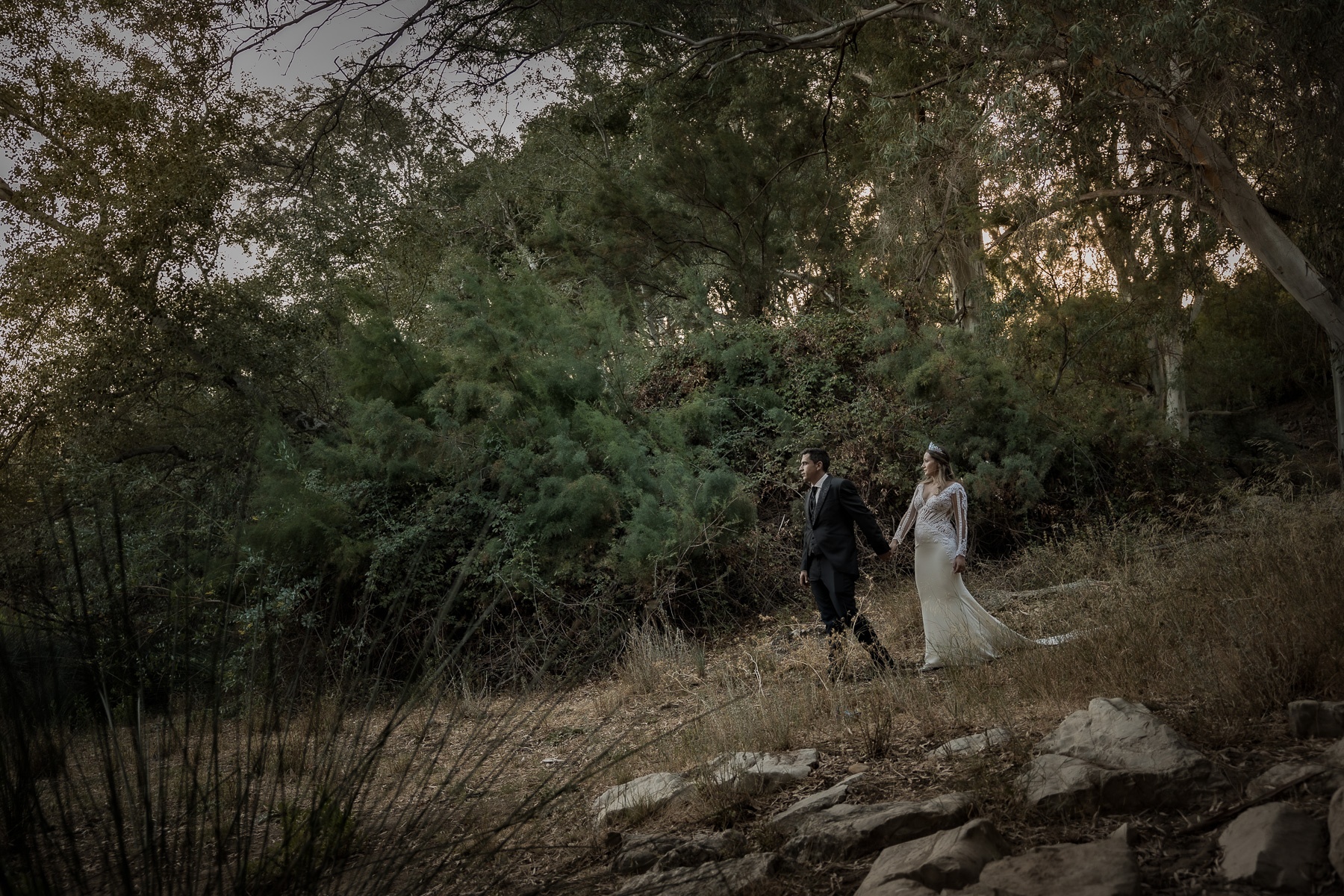 Sesión de Post Boda en el campo a Alba y Eusebio. Arcos de la Frontera, Cádiz