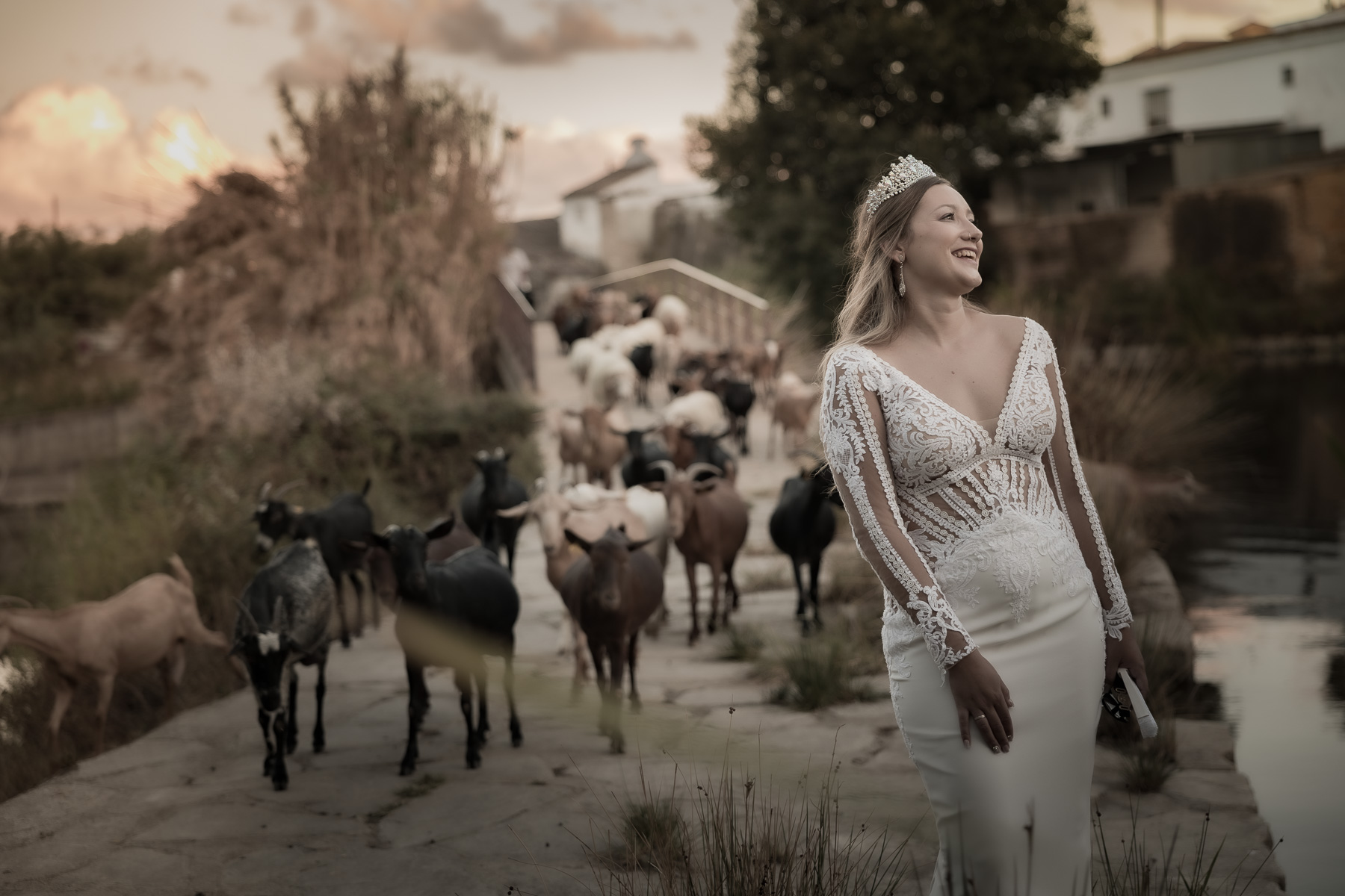 Sesión de Post Boda en el campo a Alba y Eusebio. Arcos de la Frontera, Cádiz