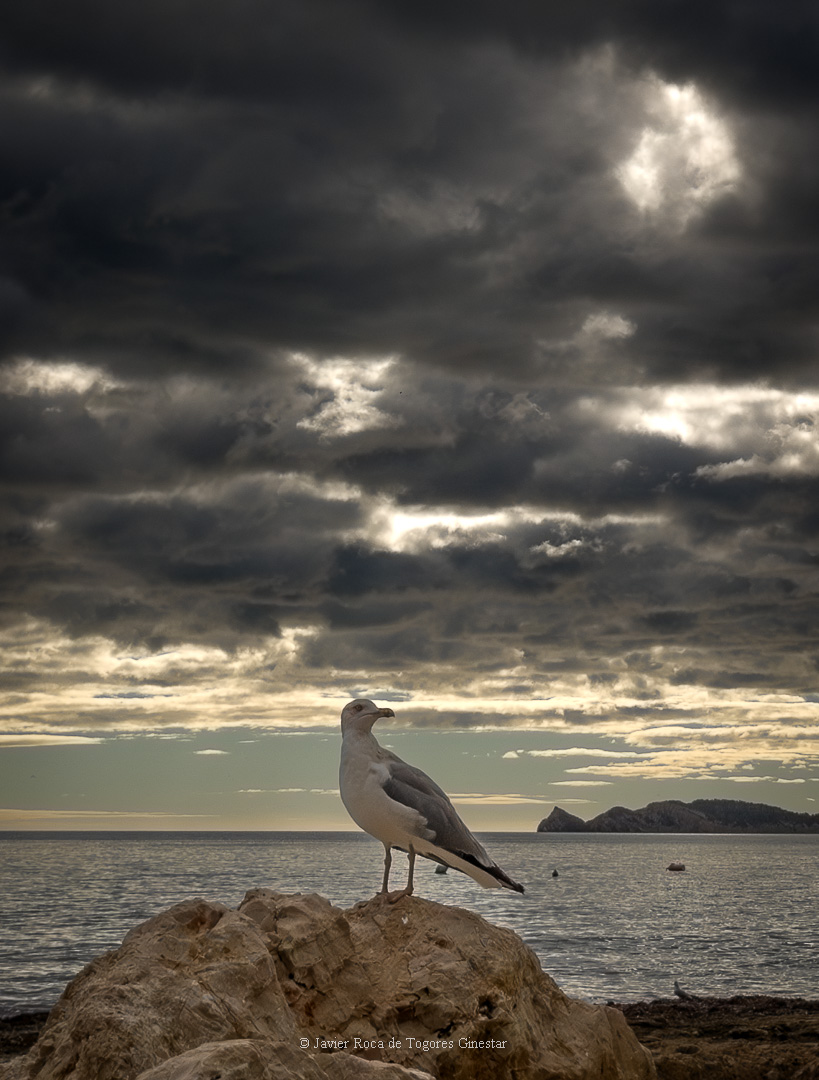 Fotografía de Javier Roca de Togores Ginestar