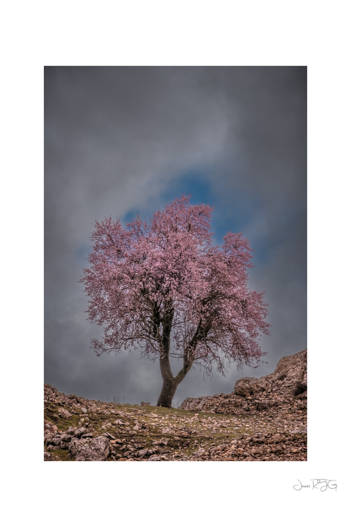 Colores de esperanza