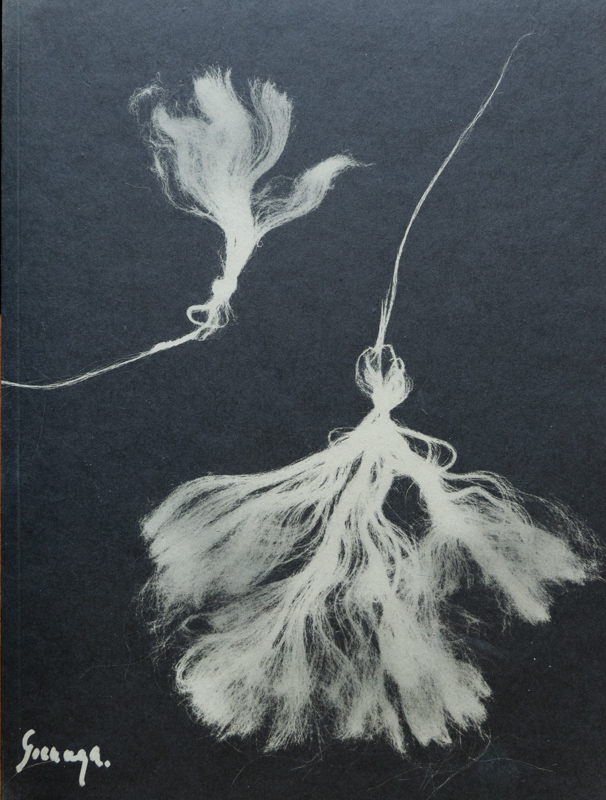 Jose Luis Goenaga- Alkiza 1971/1976