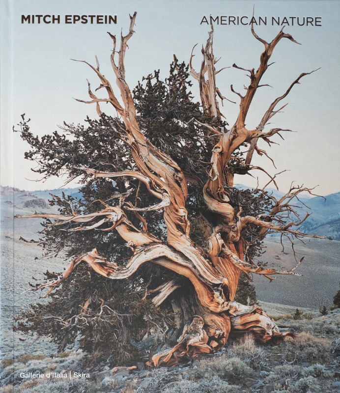 Mitch Epstein-American nature