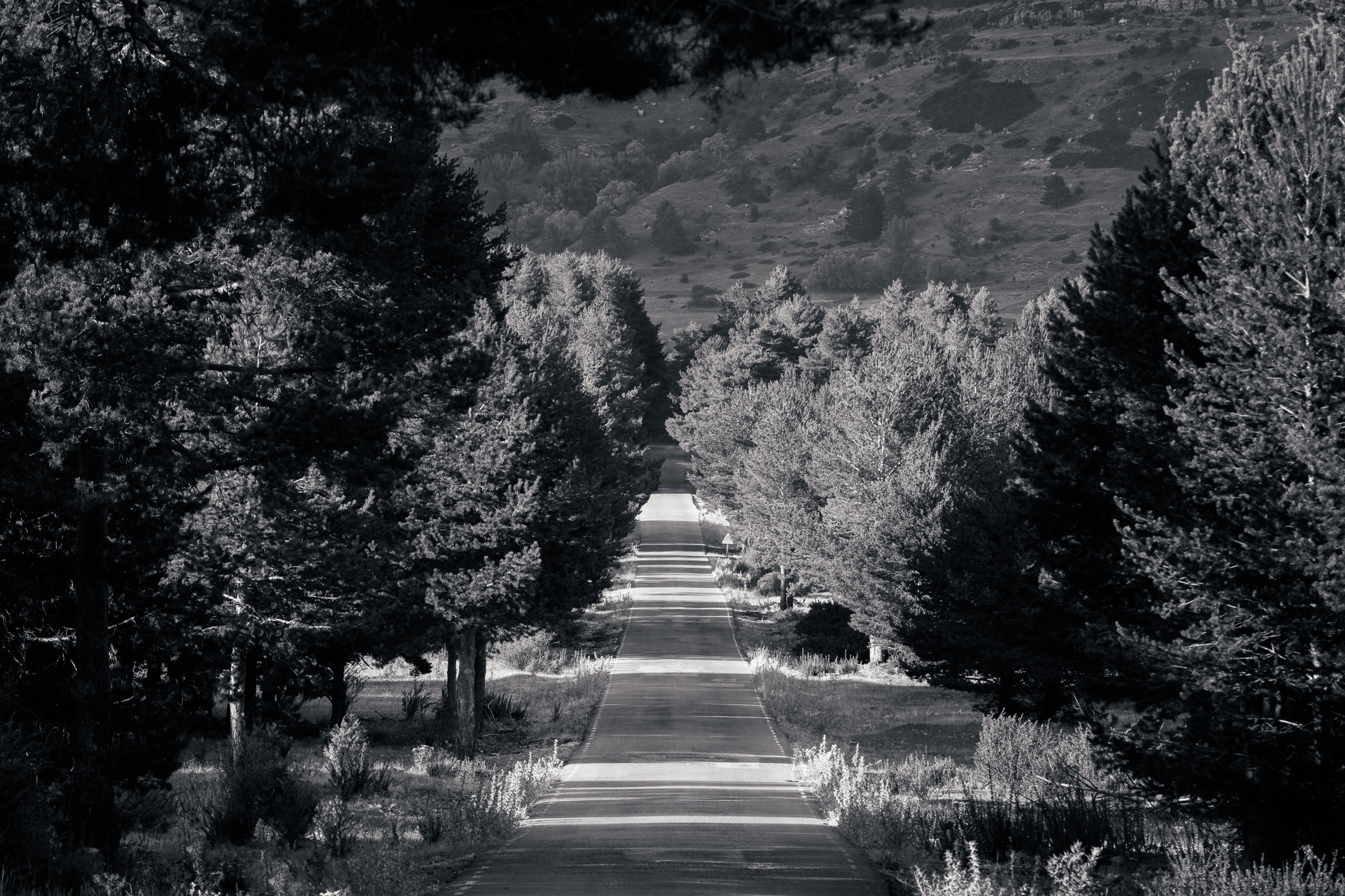 carretera de montaña