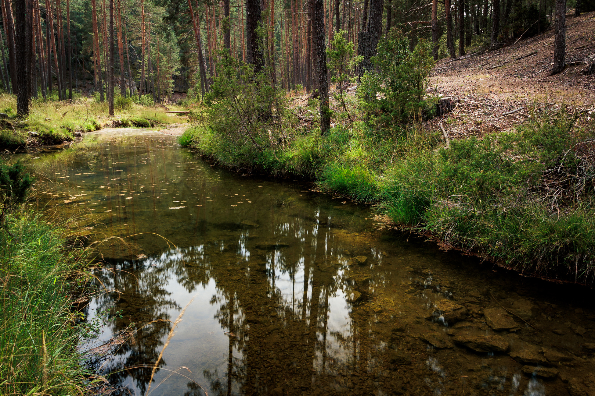 rio tajo en su nacimiento