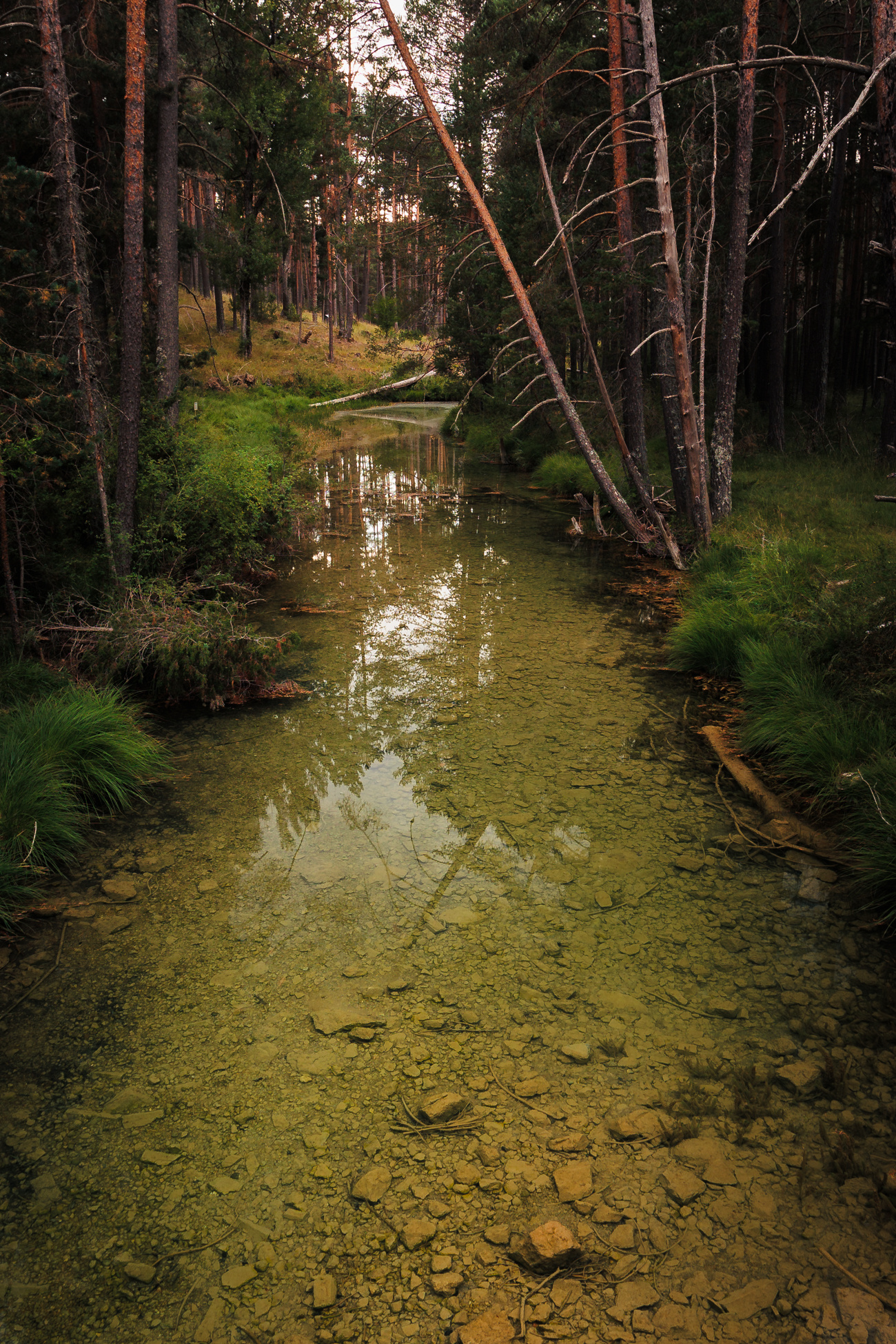 cauce del rio tajo en su nacimiento