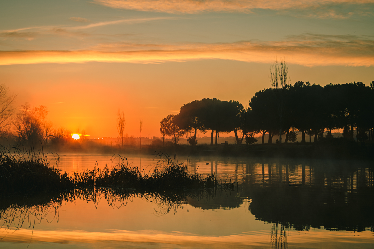 Paisaje con sol al amanecer