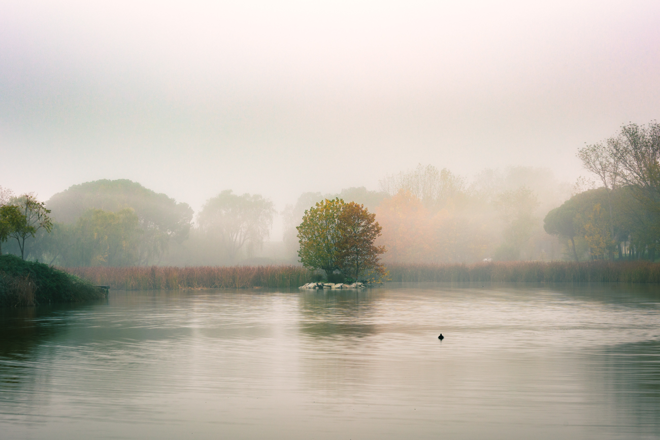 Paisaje con niebla y un lago