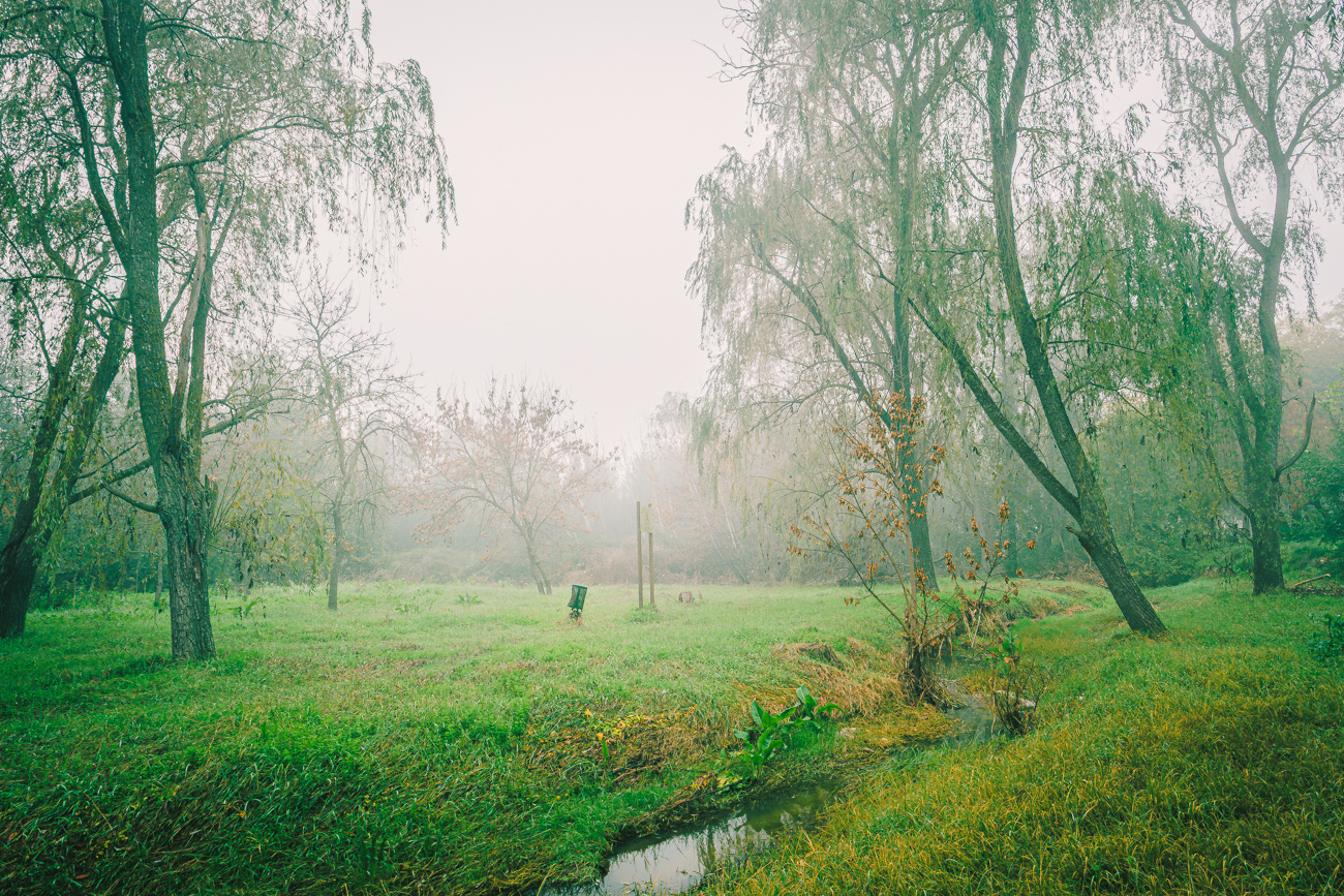 Paisjae nublado con río