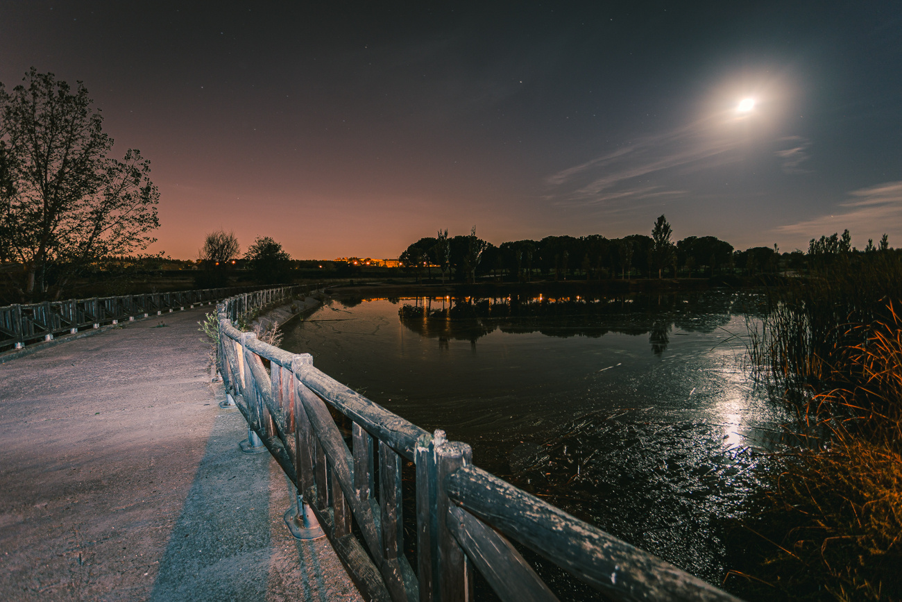 Paisaje de noche con luna llena