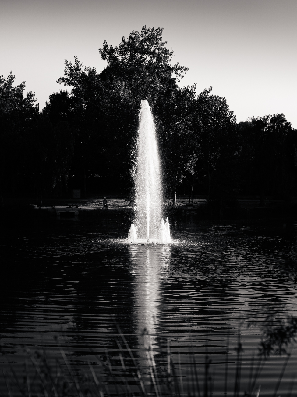 Fuente y pescador al fondo
