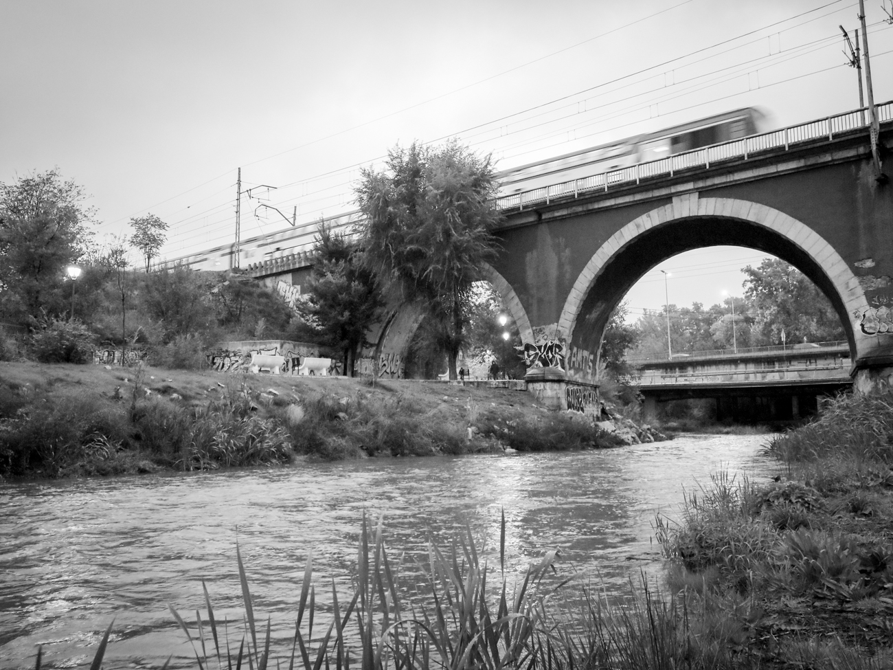 Puente sobre un río con tren pasando