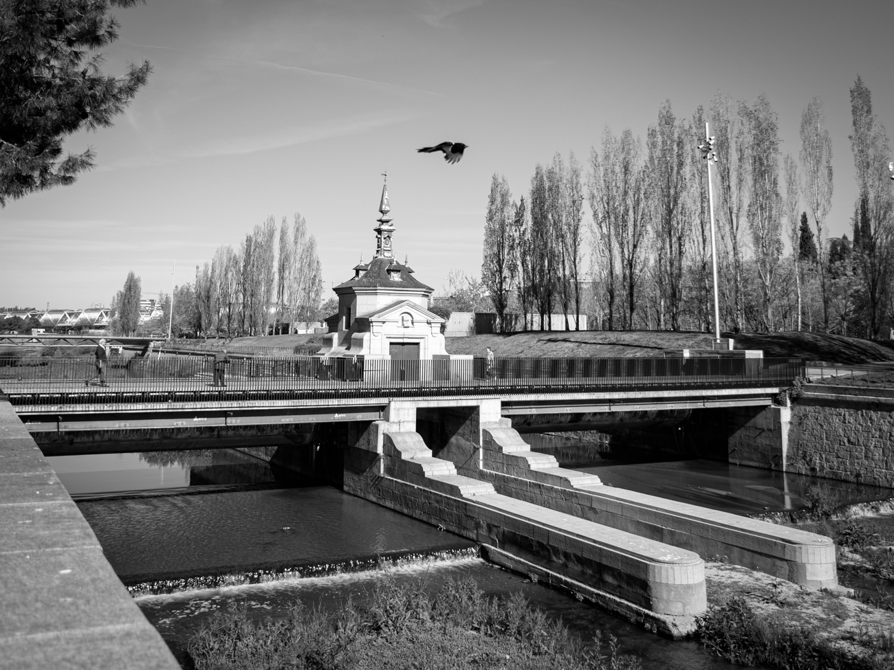 Pájaro volando sobre un puente