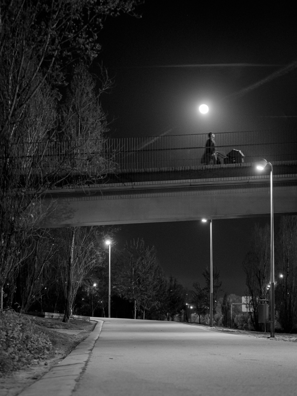 Persona con carrito de bebe pasando por un puente