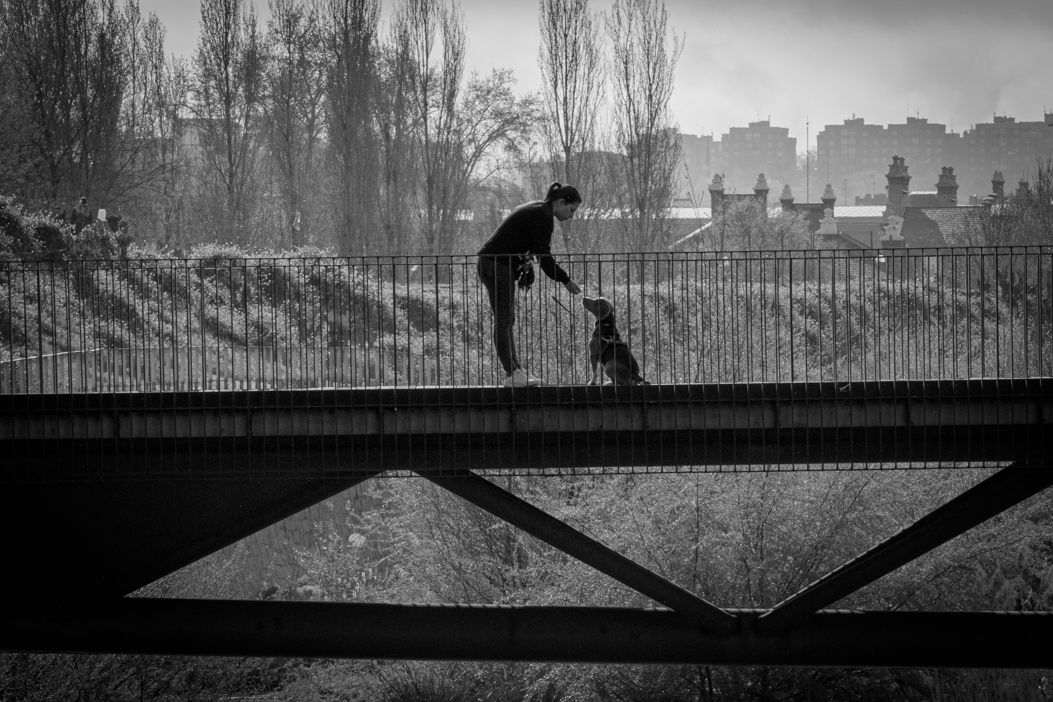 Puente con mujer dando de comer a perro