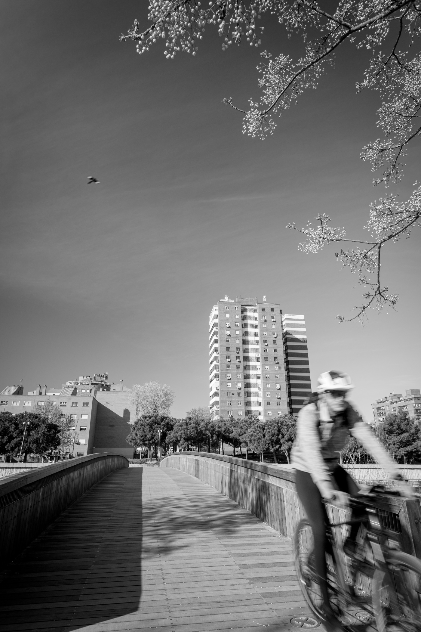 Persona en bicicleta captado en movimiento