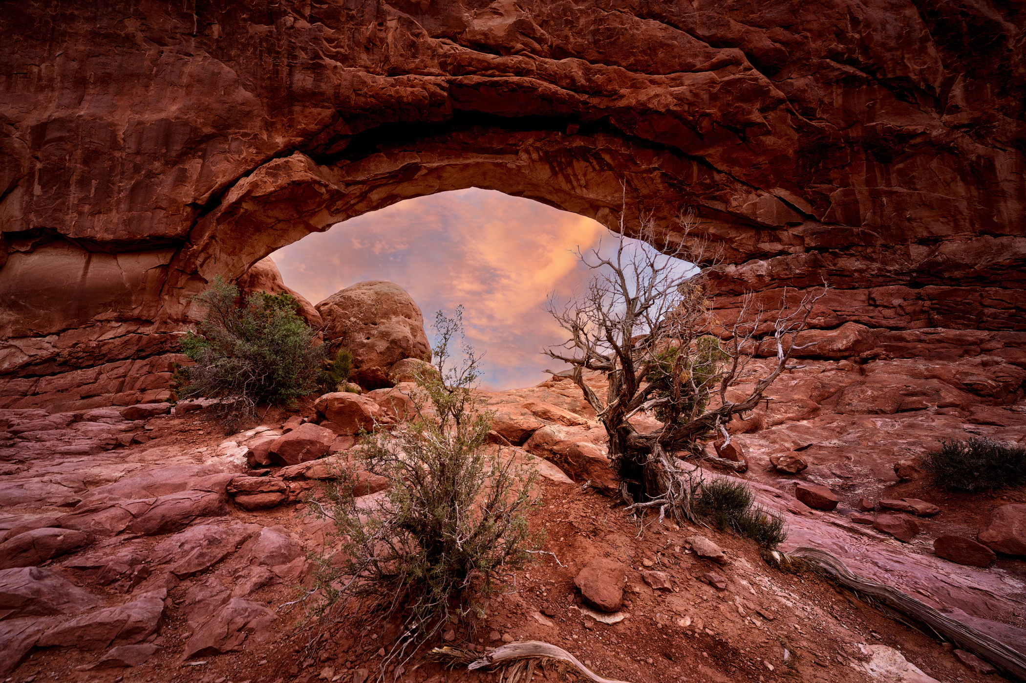 Arches National Park