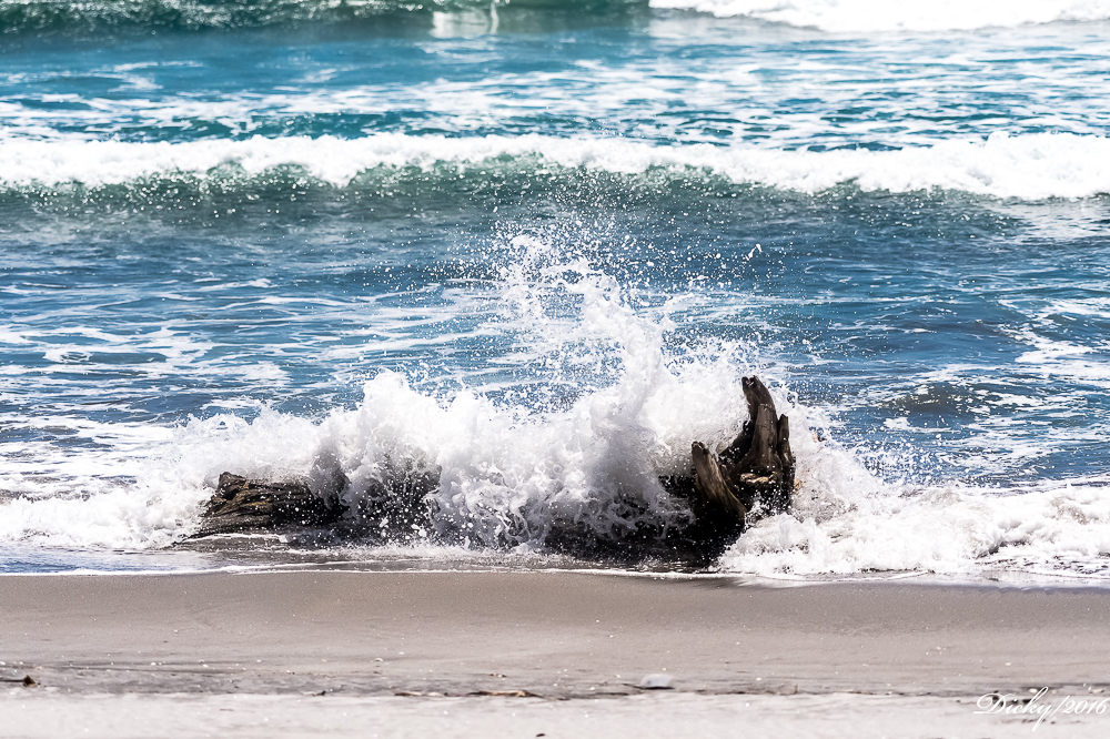 _DSC0258 Costa del Sol