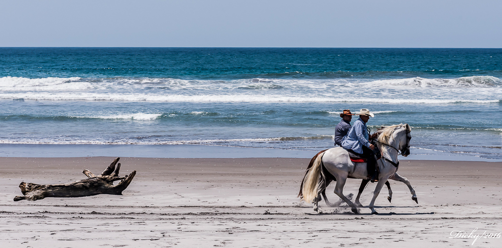 DSC_0900 Costa del Sol