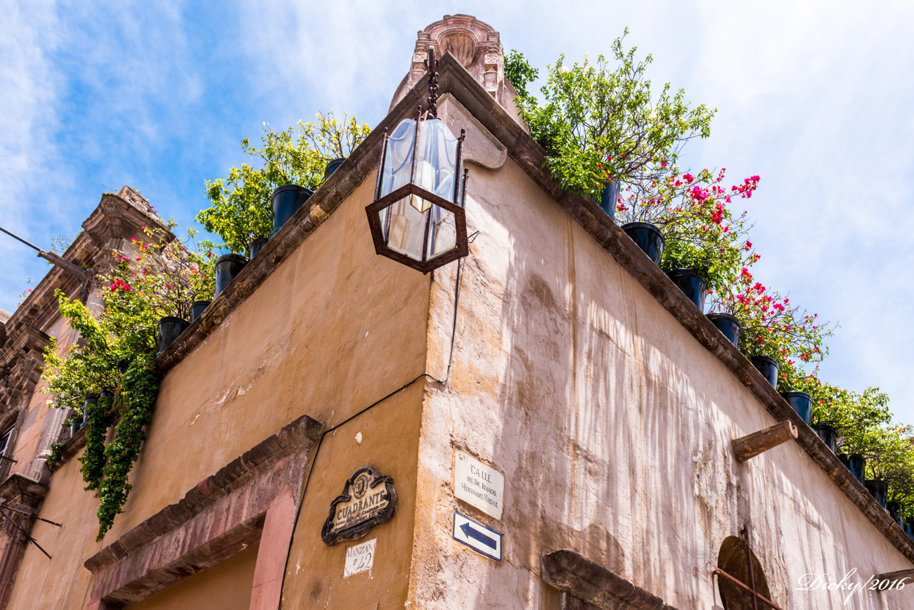San Miguel de Allende