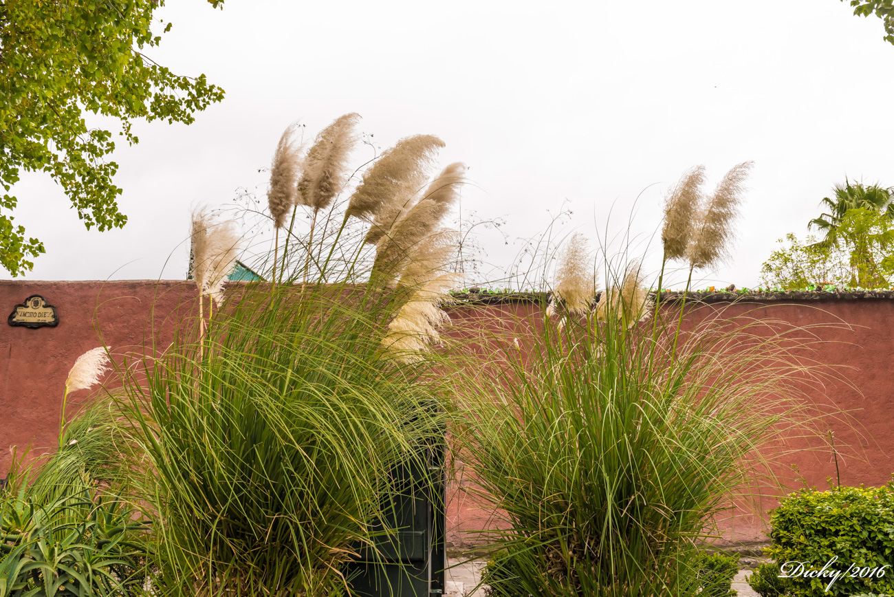 San Miguel de Allende