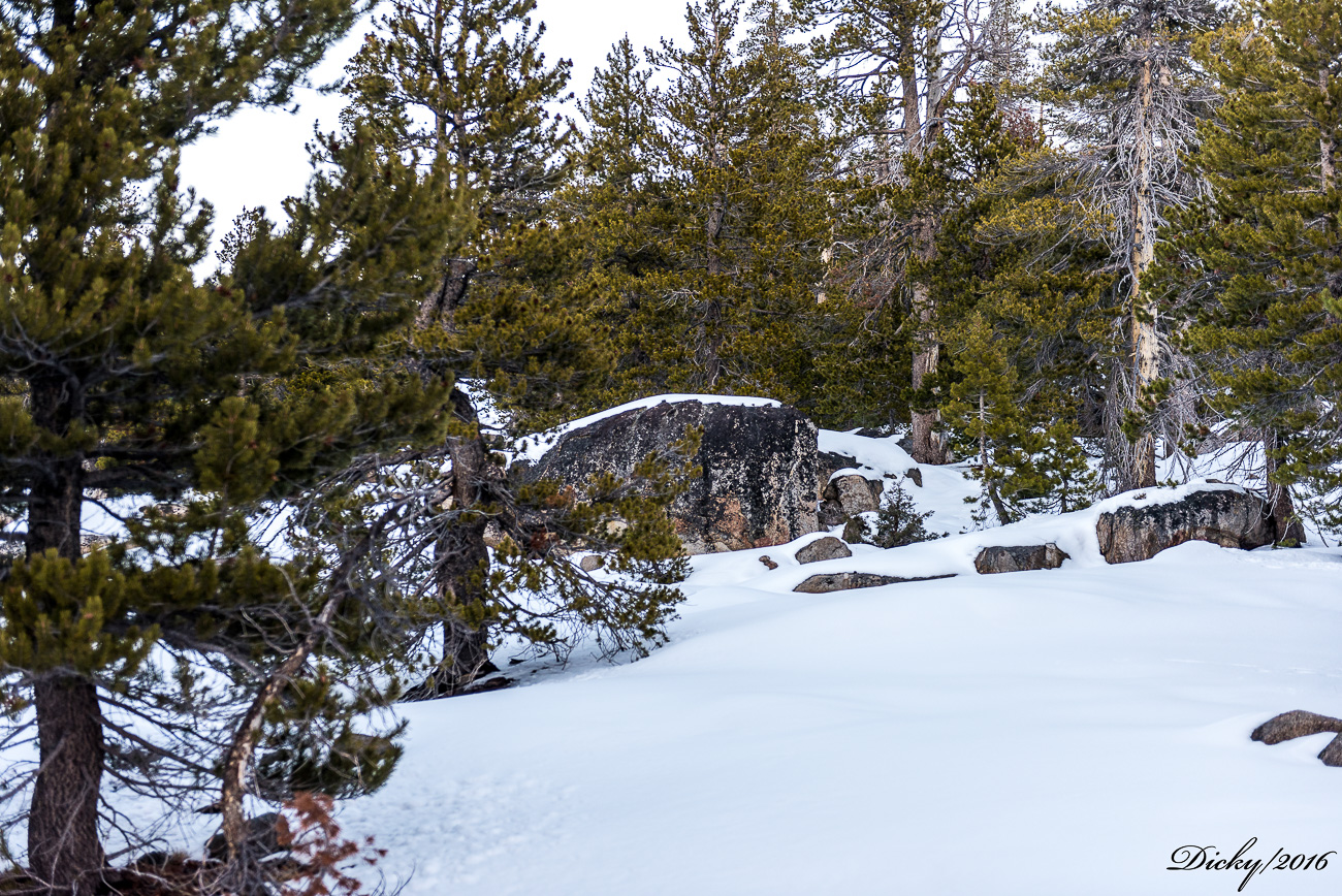 Lago Tahoe, California