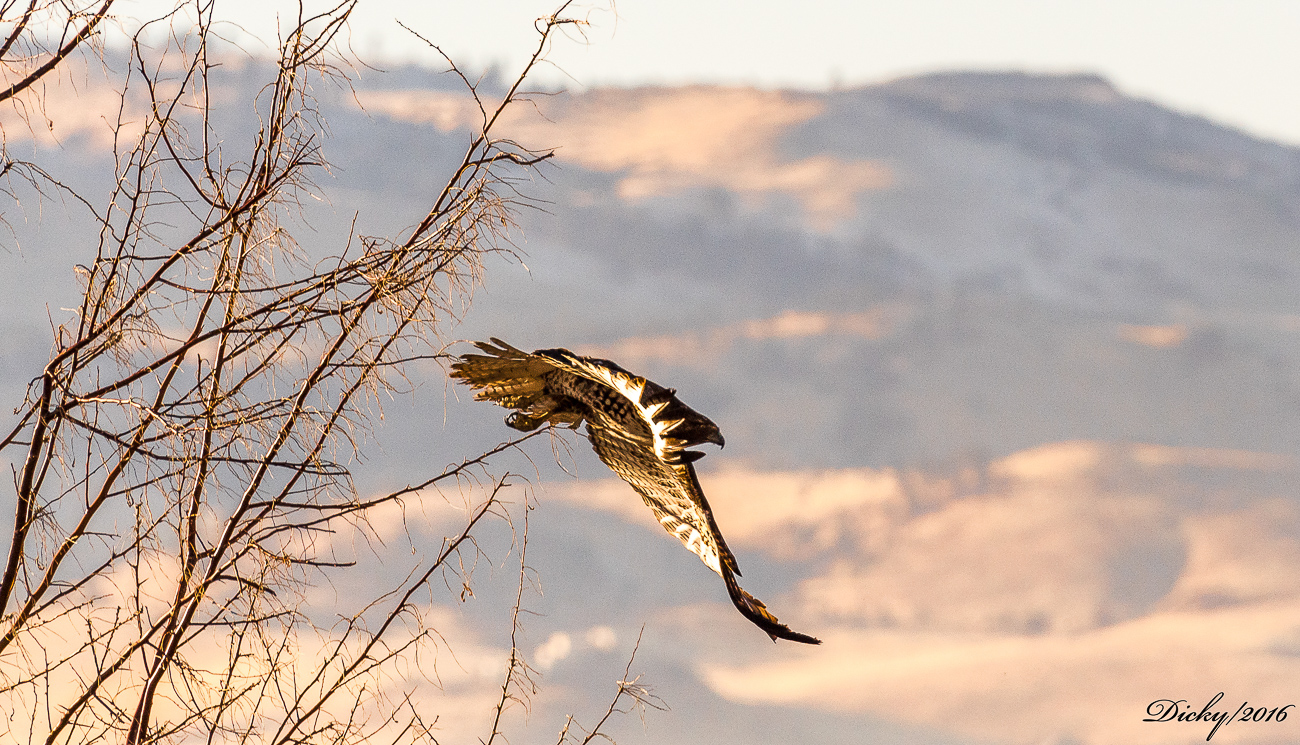 Lago Tahoe, California
