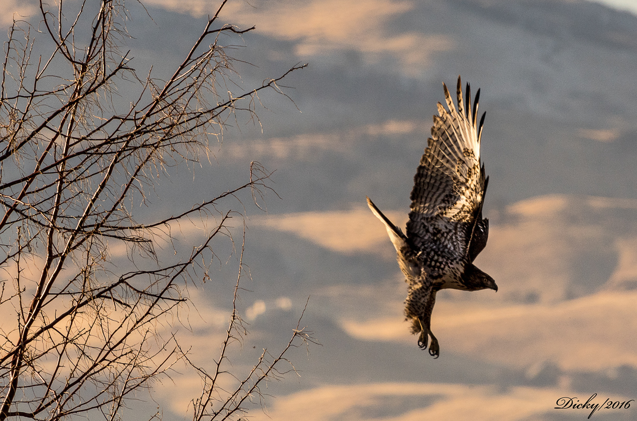 Lago Tahoe, California