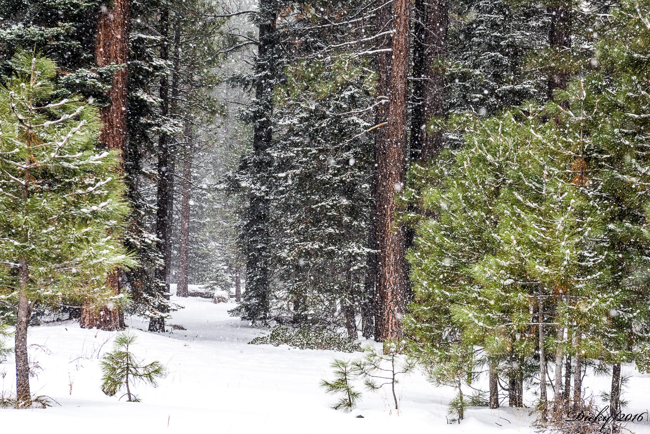 Lago Tahoe, California